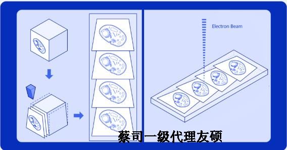 萍乡蔡司萍乡扫描电镜